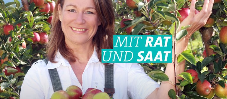 Heike Boomgaarden: Mit Rat und Saat (Foto: SWR)