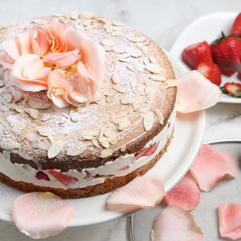 Erdbeer-Biskuit-Torte (Foto: SWR, SWR)