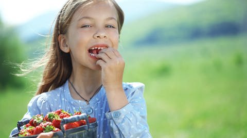 Ein Mädchen steht auf der Wiese, einen Eimer mit Erdbeeren im Arm (Foto: Colourbox, Foto: Alena Ozerova)
