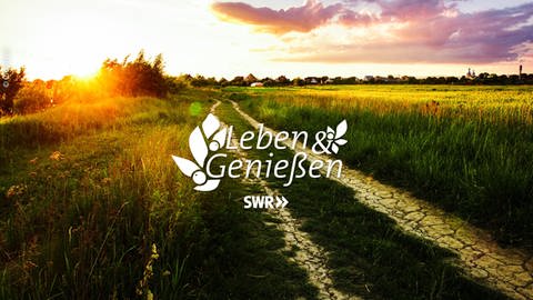 Banner Leben & Genießen (Foto: Colourbox)