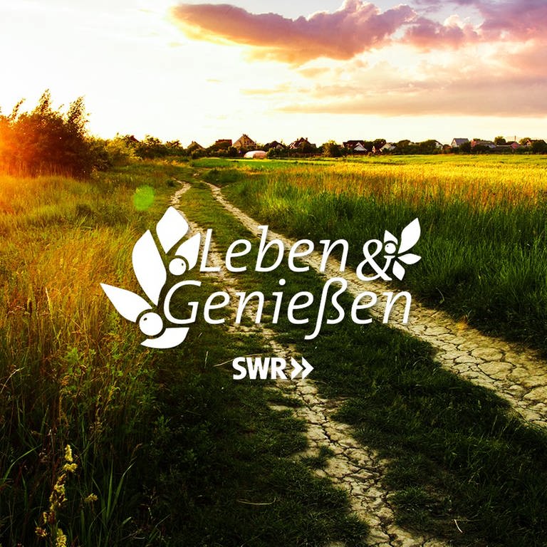Banner Leben & Genießen (Foto: Colourbox)