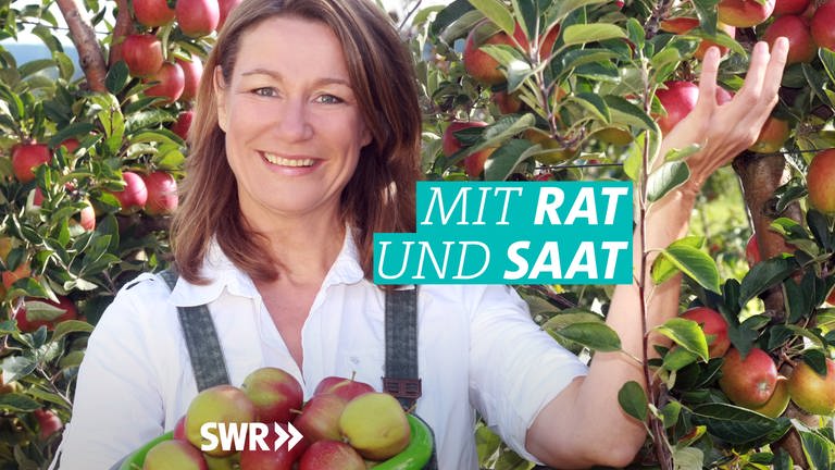 Heike Boomgaarden: Mit Rat und Saat (Foto: SWR)