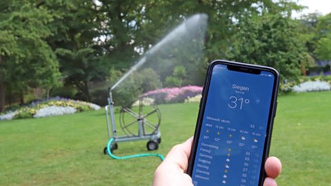 Ein iPhone zeigt eine Temperatur von 31 Grad Celsius  (Foto: IMAGO,  imago/Rene Traut)