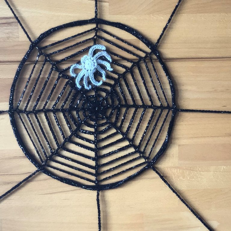 Spinne im Netz (Foto: Veronika Hug)
