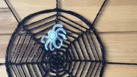 Spinne im Netz (Foto: Veronika Hug)