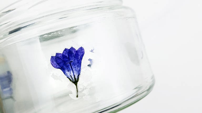 Wer getrocknete Blütenblätter am Glasrand dekorativ anbringen möchte kann diese nun mit einem Pinsel und etwas flüssigem Wachs vorsichtig am Glas „ankleben“. (Foto: Lisa Vöhringer)