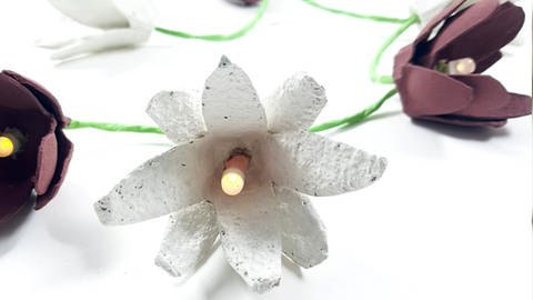 Lichterkette mit Blumen aus Eierkarton (Foto: Lisa Vöhringer)