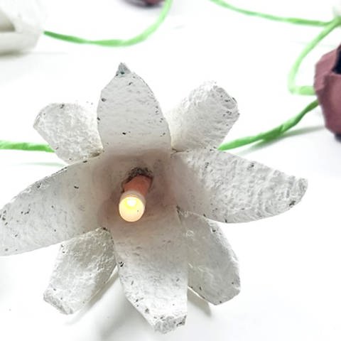 Lichterkette mit Blumen aus Eierkarton (Foto: Lisa Vöhringer)