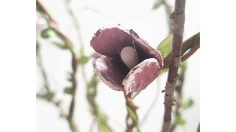 Blüten am Ast aus Eierkarton (Foto: Lisa Vöhringer)