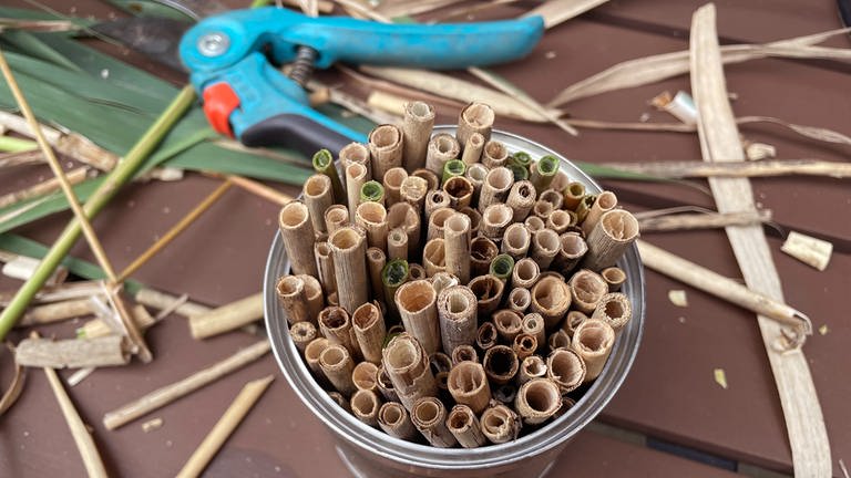 Bambus oder Schilfrohrstängel auf die Länge der Dose einkürzen.  (Foto: Karolin Happel)