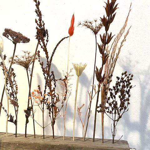 Die getrockneten Blumen und Gräser nun auf der Dekoleiste arrangieren. (Foto: Karolin Happel)