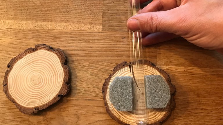 Die beiden Stücke so auf einer Baumscheibe platzieren, dass das Reagenzglas dazwischenpasst. Alles festkleben! (Foto: Karolin Happel)