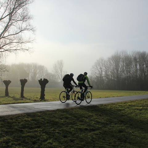 Zwei Fahrradfahrer  (Foto: Colourbox, Foto Jan Sluimer)