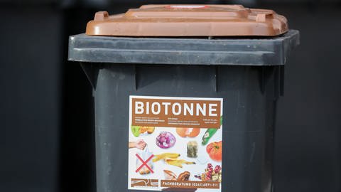 Biotonne- was darf rein und was darf nicht rein? (Foto: dpa Bildfunk, picture alliance/dpa/dpa-Zentralbild | Jan Woitas)