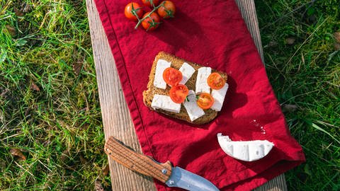 Picknick am See - manche bringen sich ihr Vesper lieber von daheim mit und verzichten auf Speisen und Getränke vom Kiosk (Symbolbild).  (Foto: Colourbox)