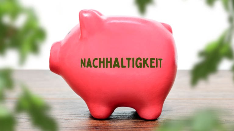 Sparschwein mit Nachhaltigkeit-Aufdruck (Foto: imago images, Colourbox, Christian Ohde via www.imago-images.de)
