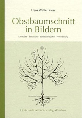 Buchcover "Obstbaumschnitt in Bildern" (Foto: Obst- und Gartenbauverlag München)