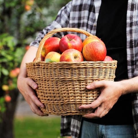 Ein Mann hält einen Korb mit Äpfeln. (Foto: Colourbox, Foto: Colourbox.de -)