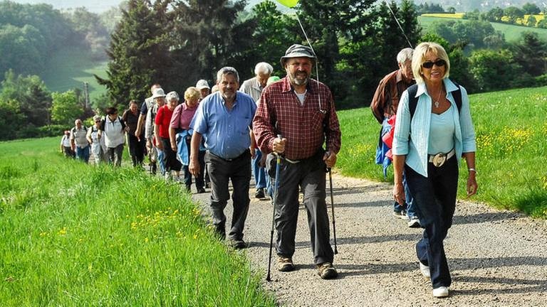 Eine Gruppe von Wanderern läuft durchs Grüne (Foto: SWR, SWR -)