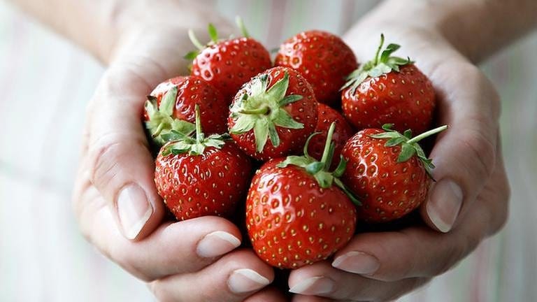 Erdbeeren in einer Hand.