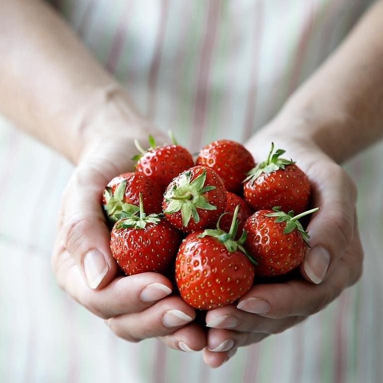 Erdbeeren in einer Hand.