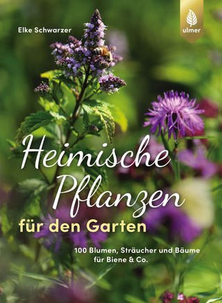 Buchcover Heimische Pflanzen für den Garten (Foto: Ulmer Verlag)