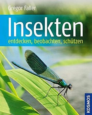 Buchcovewr Insekten entdecken (Foto: Kosmos Verlag)