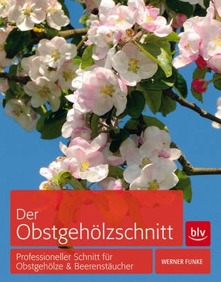 Buchcover "Der Obstgehölzschnitt" (Foto: Gräfe und Unzer Verlag)