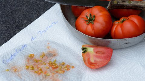 Aufgeschnittene Tomate mit Samen auf Küchenpapier (Foto: IMAGO, Bildnummer: 0111111216)