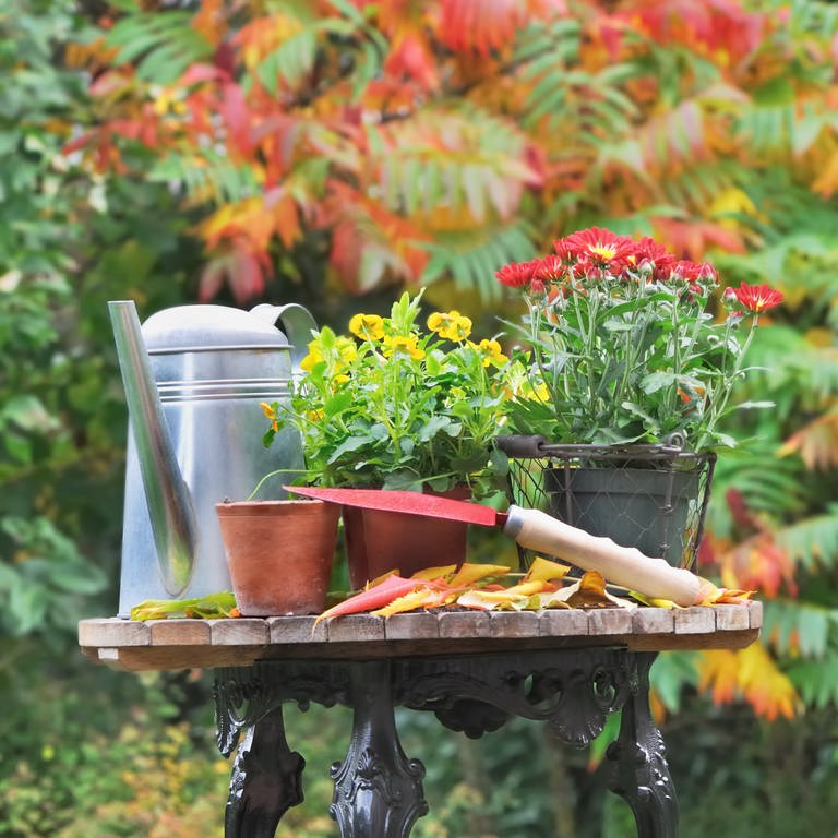 Gartenarbeit im Herbst (Foto: Colourbox)