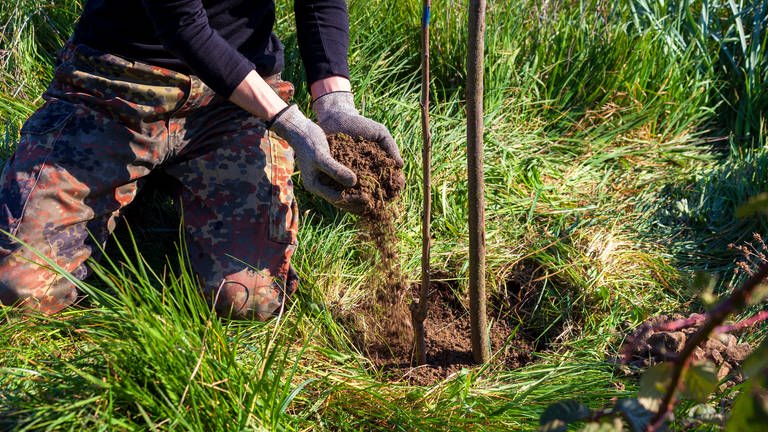 Hände die Baum pflanzen (Foto: IMAGO, Nabiha Dahhan via www.imago-images.de)