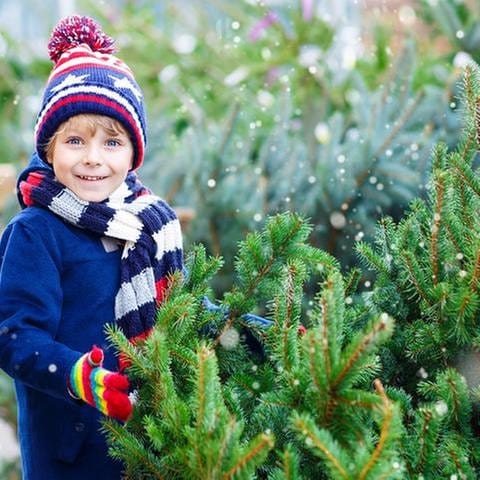 Ein Junge steht an einem Weihnachtsbaum-Verkauf. (Foto: Getty Images, Thinkstock -)