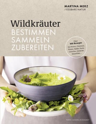 Buchcover Wildkräuter bestimmen, sammeln, zubereiten (Foto: privat (Becker-Joest-Volk Verlag))