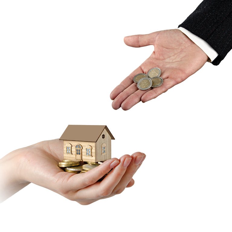 Hand mit Haus-Modell und Geld (Foto: Colourbox)