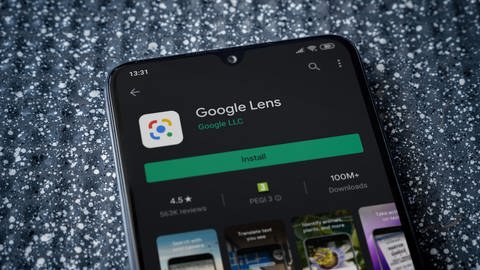 App Google lens für den Ausflug ins Grüne (Foto: IMAGO, wavemovies via imago-images.de)