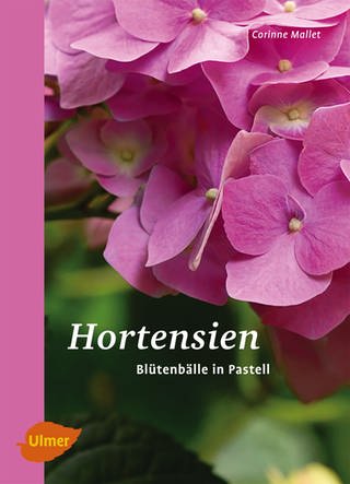 Buchcover: Hortensien - Blütenbälle in Pastell 