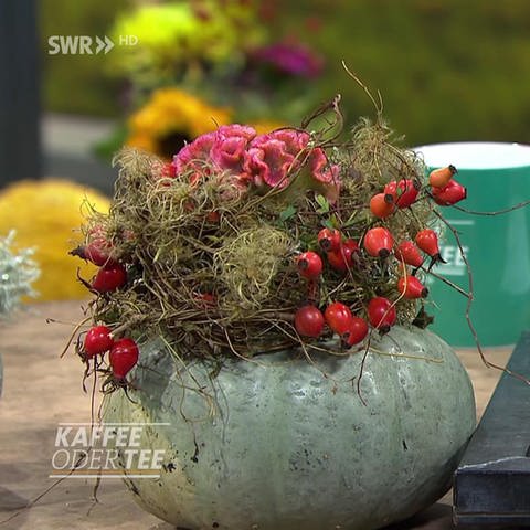 Kürbis und Herbstblumen (Foto: SWR)