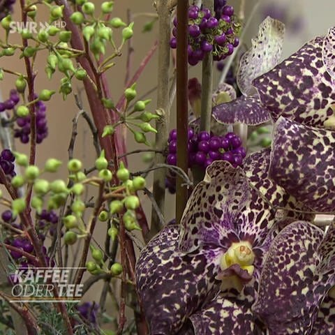 Orchidee und Anthurie im Strauß (Foto: )