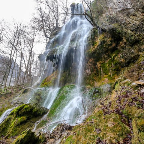 Schwäbische Alb Wasserfall Bad Urach (Foto: dpa Bildfunk, picture alliance/dpa | Thomas Warnack)