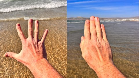 Fitness-Übung: Finger richtig dehnen für bessere Durchblutung (Foto: SWR, Privat: Stephan Müller , Collage: SWR)