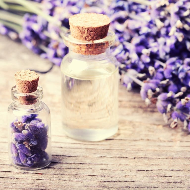 Lavendel mit verschiedenen Flaschen (Foto: Colourbox)