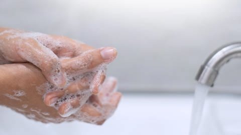 Hände waschen mit Seife - Seifesieden (Foto: Colourbox)