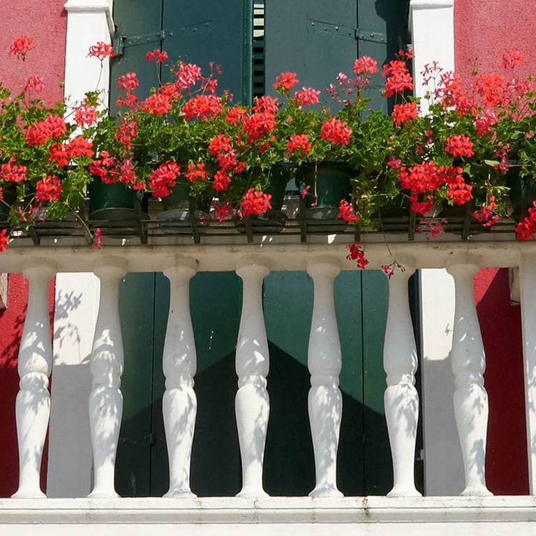 Balkon mit roten Blumen - Farbe des Sommers (Foto: Colourbox)