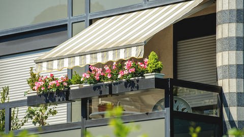 Balkon mit Markise   Sommer  reinigen