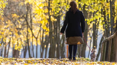 Spaziergang im Herbst (Foto: IMAGO, IMAGO / Arnulf Hettrich)