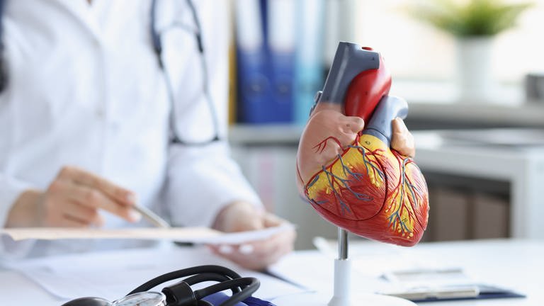 Herzmodell auf Arzt-Schreibtisch - Herzinfarkt vorbeugen