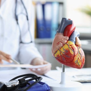 Herzmodell auf Arzt-Schreibtisch - Herzinfarkt vorbeugen (Foto: Colourbox)