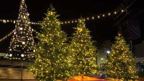 Lichterketten auf Weihnachtsbaum - Strom sparen mit LED (Foto: Colourbox, Carlos l Vives)