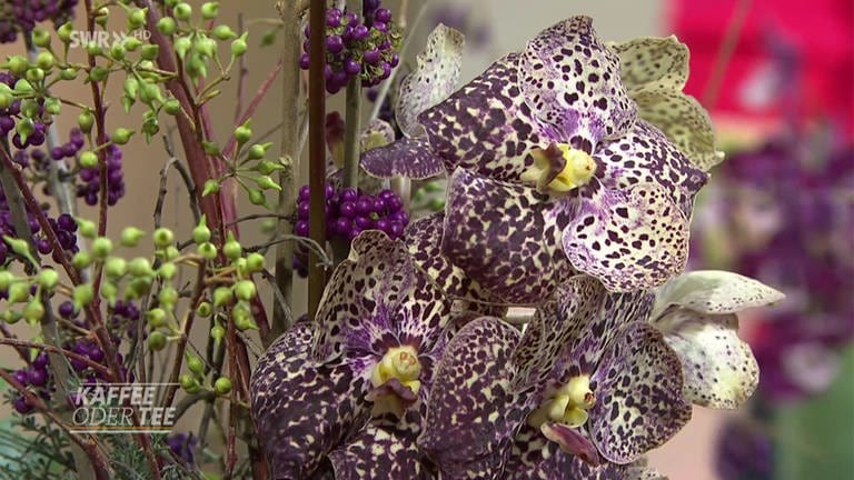 Orchidee und Anthurie im Strauß (Foto: SWR)