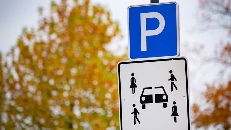 Ein Schild kennzeichnet einen Parkplatz für Carsharing-Fahrzeuge  Sicherheit im Straßenverkehr